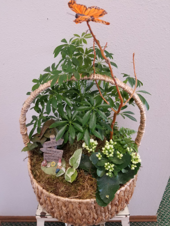 European Gardens Fresh Plant Arrangements