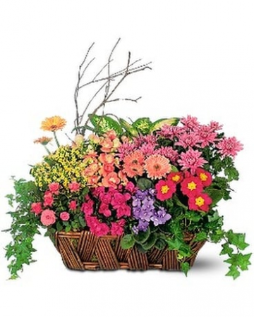Garden Basket perfect for any occassion