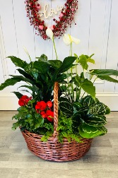 Euro Garden Basket 
