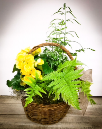 Fern Garden