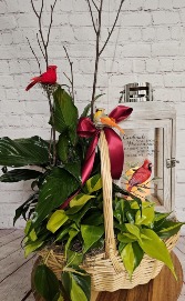 Euro Garden With Cardinal Lantern FD-303