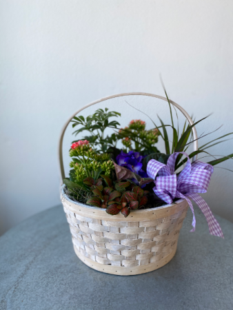 European Basket Garden