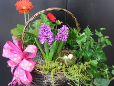 European Garden Blooming Basket Plants in Southern Pines, NC | Hollyfield Design Inc.