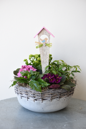 European Dish Garden