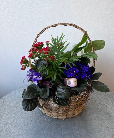 European Dish Garden Basket  in La Grande, OR | FITZGERALD FLOWERS