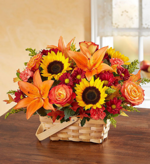 European Basket Was 59.99 Now $49.99 in Sunrise, FL | FLORIST24HRS.COM European Basket Was 59.99 Now $49.99 in Sunrise, FL | FLORIST24HRS.COM