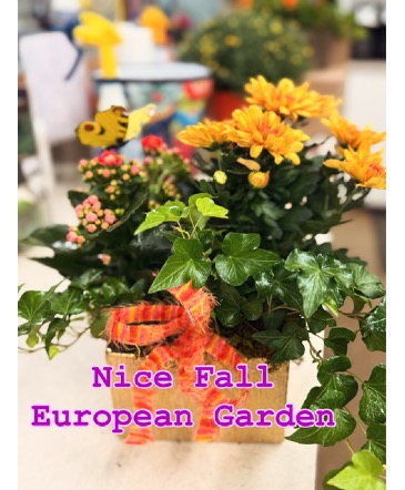 EUROPEAN GARDEN  in Odessa, TX | MARK KNOX FLOWERS