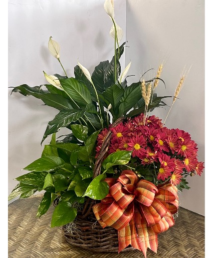 European Garden Basket Plants