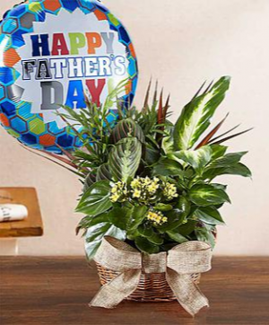 European Garden for Dad Dish Garden in Croton On Hudson, NY | Cooke's Little Shoppe Of Flowers European Garden for Dad Dish Garden in Croton On Hudson, NY | Cooke's Little Shoppe Of Flowers