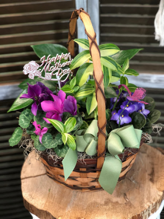 European Garden in Basket