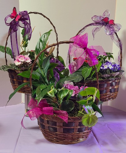 European Plant Basket Green and blooming plant in a basket 