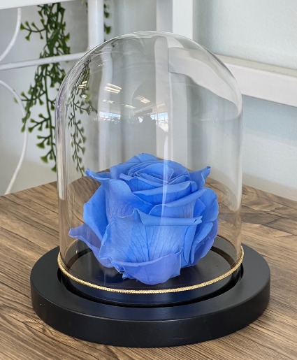 Everbloom Rose Dome Preserved Roses