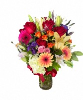 Everday Flowers  All Occasion in