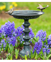 Evergreen Bird Bath 