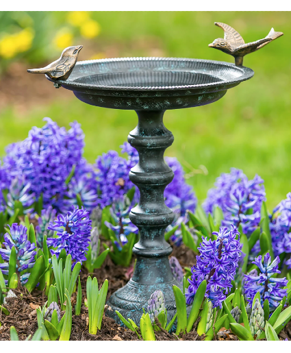 Evergreen Bird Bath