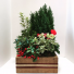 Evergreen Box planter