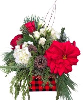 Evergreen Christmas Cube 