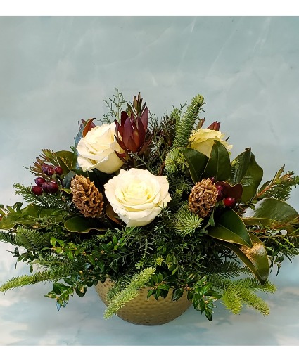 Evergreen Symphony CF-SYM