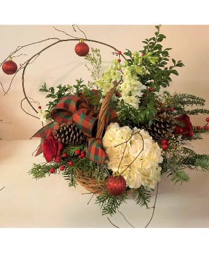 Evergreens and berries Centerpiece