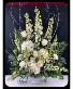 Purchase this funeral home arrangement