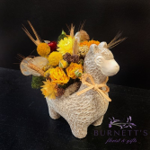 Everlasting Llama Dried Arrangement