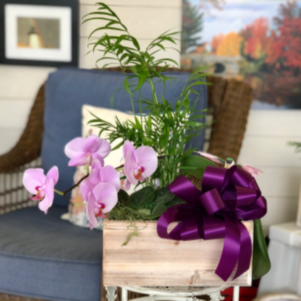 Everlasting Love Blooming Plant Garden