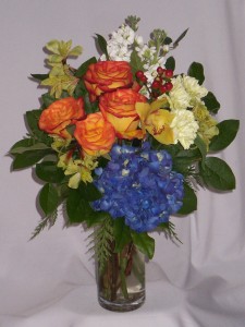 Exhilarating - Flowers For All Occasions in Prince George, BC | AMAPOLA BLOSSOMS FLOWERS Exhilarating - Flowers For All Occasions in Prince George, BC | AMAPOLA BLOSSOMS FLOWERS