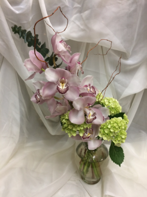 Exotic "Apple Blossom" Cymbidium Orchid Stem in Prescott, AZ | PRESCOTT FLOWER SHOP Exotic "Apple Blossom" Cymbidium Orchid Stem in Prescott, AZ | PRESCOTT FLOWER SHOP