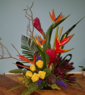 Exotic Birds Best Seller