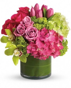 Exotic blooms