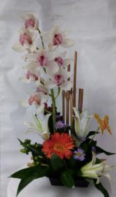 exotic bouquet orquideas