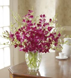 Exotic Breez Orchids Make Their Day Unforgettable in Burbank, CA | MY BELLA FLOWER Exotic Breez Orchids Make Their Day Unforgettable in Burbank, CA | MY BELLA FLOWER