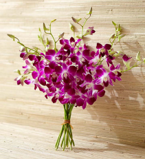 Exotic Breeze Orchids Hand tied bouquet