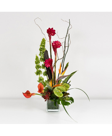 Exotic Finesse Vase Arrangement in Jacksonville, FL | St Johns Flower Market Exotic Finesse Vase Arrangement in Jacksonville, FL | St Johns Flower Market
