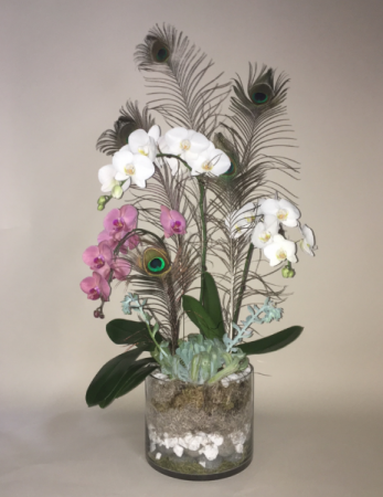 Exotic Fountain Fancy Planter