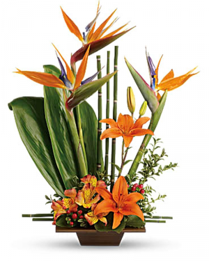 Exotic Garden Tropical Flower Arrangement in Largo, FL | Rose Garden Florist Exotic Garden Tropical Flower Arrangement in Largo, FL | Rose Garden Florist