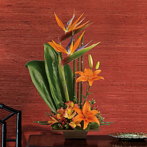 Exotic Grace **Limited offer** in Vancouver, BC | ARIA FLORIST Exotic Grace **Limited offer** in Vancouver, BC | ARIA FLORIST