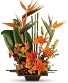 EXOTIC GRACE ARRANGEMENT