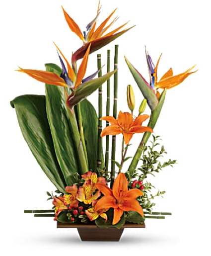 Exotic Grace Contemporary