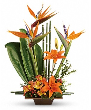 Exotic Grace  Tropical Arrangement