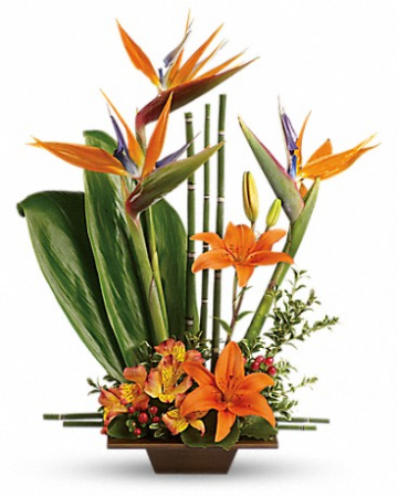 Exotic Grace Tropical Flower