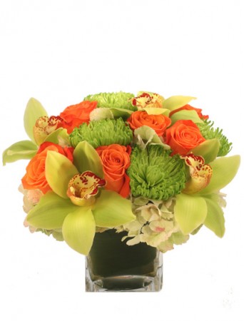 Exotic Greenness Bouquet in Santa Clarita, CA | Rainbow Garden And Gifts