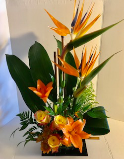 Thought of Paradise Elegant Exotic Touch