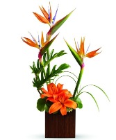 Exotic Paradise Arrangement 