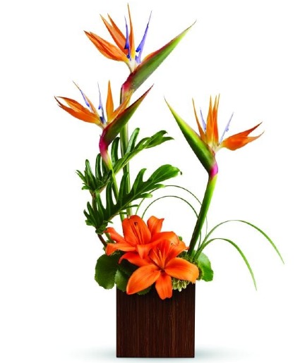 Exotic Paradise Arrangement 