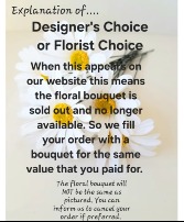 Explanation of Designer's Choice 