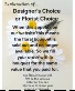 Explanation of Designer's Choice 