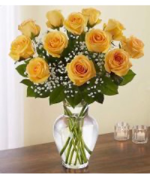 Explosion of Yellow Roses 