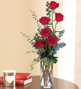 Expression of Love TF32-1 6 Red Roses