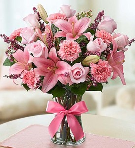 Expression of Pink